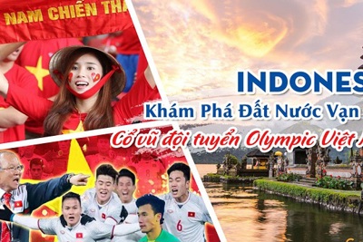 Nở rộ tour cổ vũ đội tuyển Olympic Việt Nam