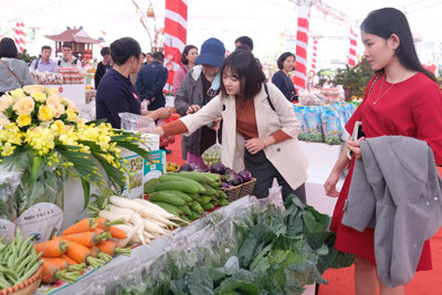 Festival sản phẩm nông nghiệp và làng nghề Hà Nội năm 2019: Thúc đẩy hợp tác bền vững