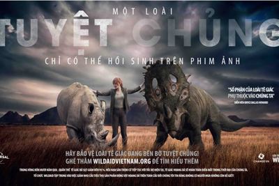 Mỹ nhân “Thế giới khủng long” kêu gọi cứu tê giác tại Việt Nam
