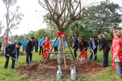 Quận Hoàng Mai phát động Tết trồng cây 2020