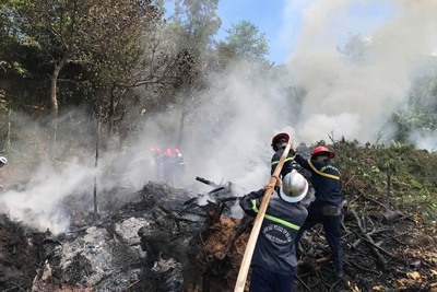 Đà Nẵng: Cháy lớn tại khu vực Suối Đá, bán đảo Sơn Trà
