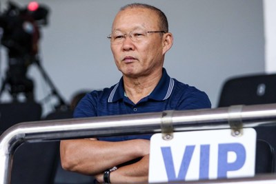 VFF làm việc với người đại diện của HLV Park Hang-seo về kế hoạch tái ký hợp đồng