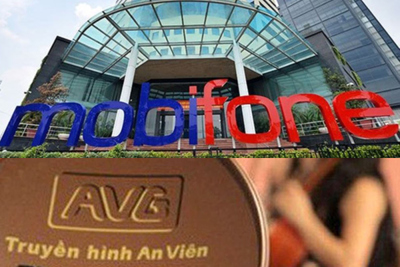 Vụ Mobifone mua AVG: Thủ tướng đồng ý với kết luận thanh tra