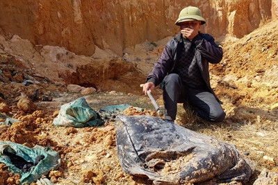 Chủ tịch Nguyễn Đức Chung chỉ đạo khắc phục ô nhiễm môi trường tại thôn Lai Sơn, huyện Sóc Sơn