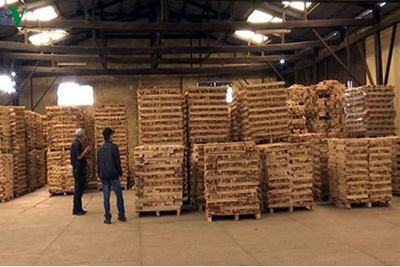 Doanh nghiệp gỗ “tỉnh táo” khi đầu tư FDI từ Trung Quốc gia tăng