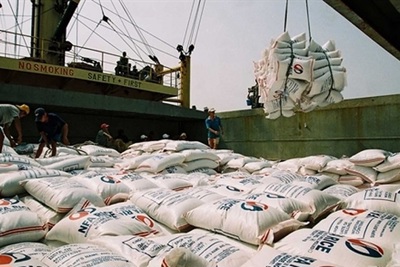 Xuất khẩu gạo cần cẩn trọng những tháng cuối năm