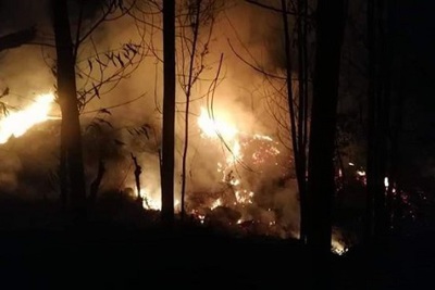 Quảng Ngãi: Cháy rừng làm một người chết
