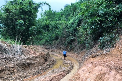 Vụ nước sông Đà bị nhiễm dầu: Suối Trâm giờ ra sao?