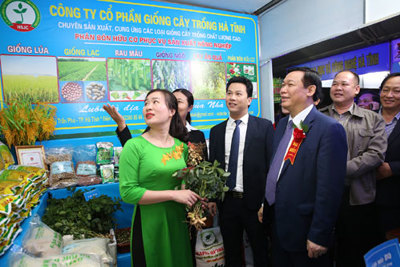 Phó Thủ tướng Vương Đình Huệ dự Lễ hội quảng bá cam Hà Tĩnh