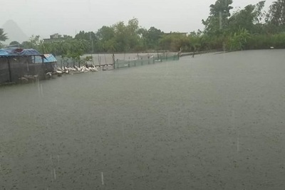 Hà Nội: Chủ động bảo vệ thủy sản do ảnh hưởng mưa bão gây ra