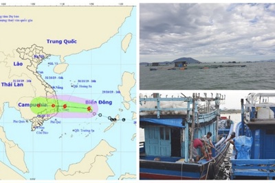 Diễn biến mới nhất bão số 5, các tỉnh Nam Trung Bộ cấm biển, cho học sinh nghỉ học