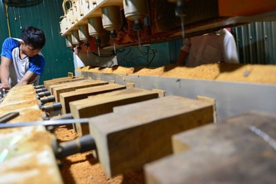 Gian lận thương mại, rủi ro lớn cho ngành gỗ Việt