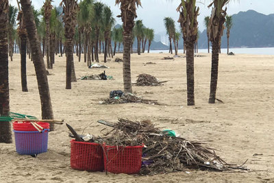 [Ảnh] Bãi biển Bãi Cháy hứng 6 tấn rác mỗi ngày từ du khách