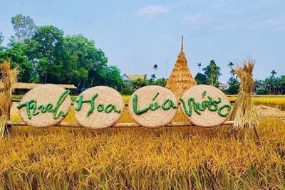 Lễ hội tôn vinh lúa nước tại quê hương cố Thủ tướng Phạm Văn Đồng