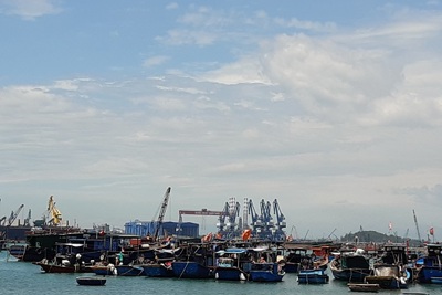 Quảng Ngãi: Dân bất an vì mất nơi neo đậu tàu thuyền