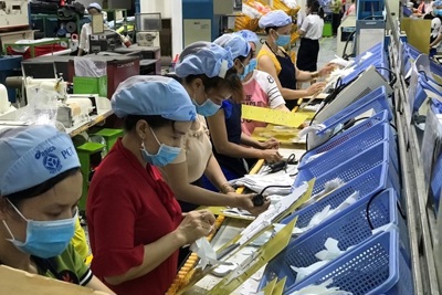 TP Hồ Chí Minh: Tạm đình chỉ hoạt động sản xuất của Công ty PouYuen Việt Nam