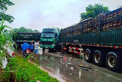 Nghệ An: Hai xe đầu kéo đối đầu, người dân phá cửa cabin cứu tài xế