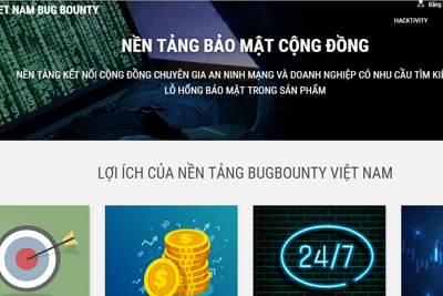 Ra mắt cộng đồng hacker mũ trắng Việt Nam