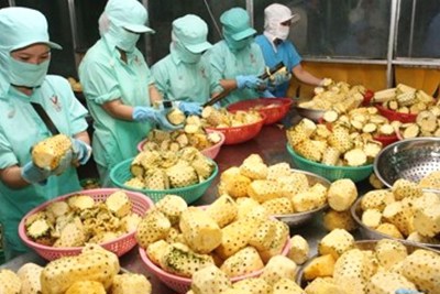 Việt Nam có 4 mặt hàng nông lâm thuỷ sản xuất khẩu trên 3 tỷ USD