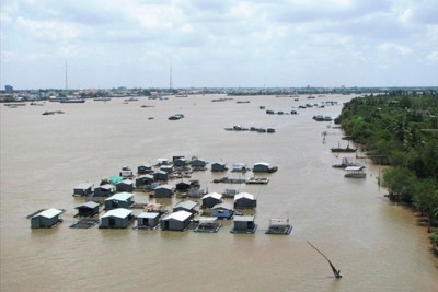 Mực nước lũ sông Cửu Long tiếp tục tăng trong tháng 9/2019