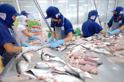 Mỹ tăng thuế chống bán phá giá đối với cá tra Việt Nam