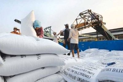 Bộ Nông nghiệp nói gì về việc “tạm dừng xuất khẩu gạo” của Tổng cục Hải quan?