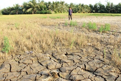Đồng bằng sông Cửu Long bước vào giai đoạn hạn mặn khốc liệt nhất mùa khô 2020