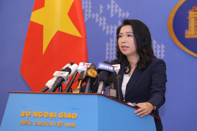 Bộ Ngoại giao phản đối vụ tàu hải cảnh Trung Quốc đâm chìm tàu cá Việt Nam