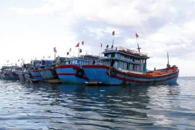 “Có tình trạng tàu cá Việt Nam làm giả biển tàu nước ngoài”