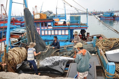 Đà Nẵng: Đẩy mạnh các chính sách phát triển thủy sản trên địa bàn thành phố