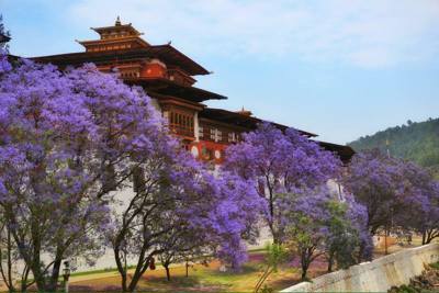 Tour đặc biệt mừng Quốc khánh 2/9: “Tìm hạnh phúc ở Bhutan”