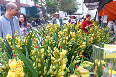 Chợ hoa – sinh vật cảnh Vạn Phúc, nơi hội tụ những mặt hàng chơi Tết