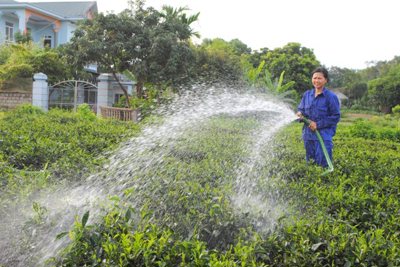 Tăng trưởng nông nghiệp Hà Nội 10 năm đạt trung bình 3,34%