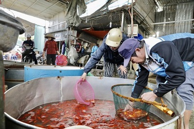 [Ảnh]  Nhộn nhịp chợ cá lớn nhất Hà Nội trước ngày ông Công ông Táo