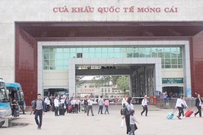Quảng Ninh sẽ xây dựng bệnh viện dã chiến