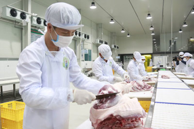 Cấp đông để tạm trữ thịt lợn: Khó trăm bề