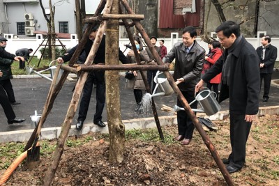 Quận Ba Đình phát động Tết trồng cây Xuân Canh Tý 2020