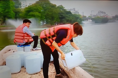 Hà Nội: “Cấy” mẫu nước màu xanh đặc trưng cho hồ Hoàn Kiếm