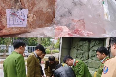 Hà Nội: Chặn bắt lái xe tải chở 2,5 tấn nầm động vật bốc mùi tuồn về Thủ đô