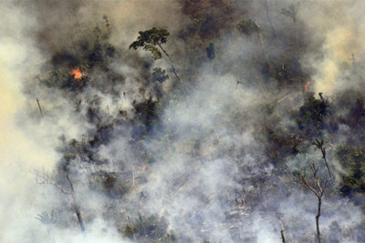 Cháy rừng Amazon: Brazil bất ngờ từ chối 20 triệu USD viện trợ khi lửa đang lan rộng