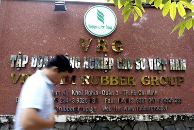 Tập đoàn Công nghiệp Cao su Việt Nam phấn đấu đạt lợi nhuận 9.000 tỷ đồng vào năm 2020