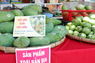 Vì sao Sơn La đưa được nhiều nông sản hàng hoá vào siêu thị và xuất khẩu