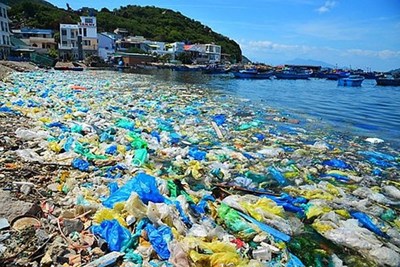 Việt Nam đang đối mặt với nguy cơ trở thành bãi tập kết rác toàn cầu