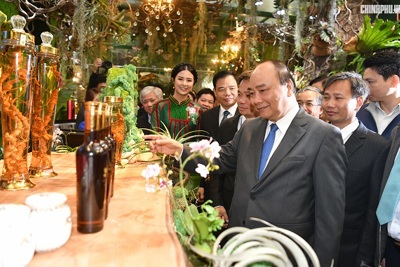 Thủ tướng Nguyễn Xuân Phúc: Sâm Ngọc Linh sẽ tạo nên dấu ấn lịch sử