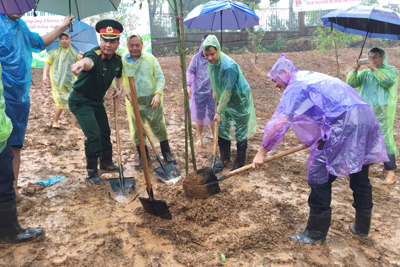 Tuổi trẻ Thủ đô “đội mưa” trồng 600 cây xanh tại Khu di tích K9