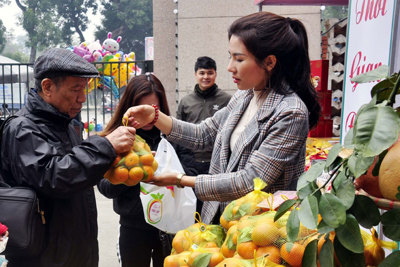 Hội chợ hàng hóa nông sản thực phẩm Tết Canh Tý: Đưa đặc sản vùng miền  tới người dân Thủ đô
