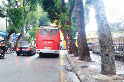 [Điểm nóng giao thông] Nhờn luật trên phố Trịnh Hoài Đức