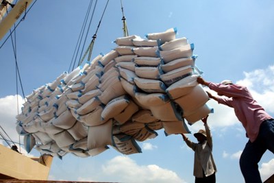 Xuất khẩu gạo đạt trên 1,8 tỷ USD trong 6 tháng đầu năm