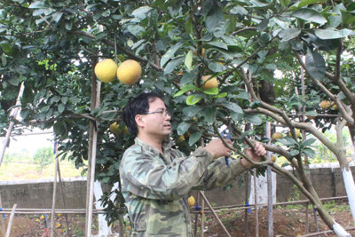 Đất cằn đơm hoa