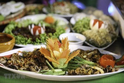 Hàng trăm đầu bếp tranh tài trong cuộc thi 'Tinh hoa bếp Việt'